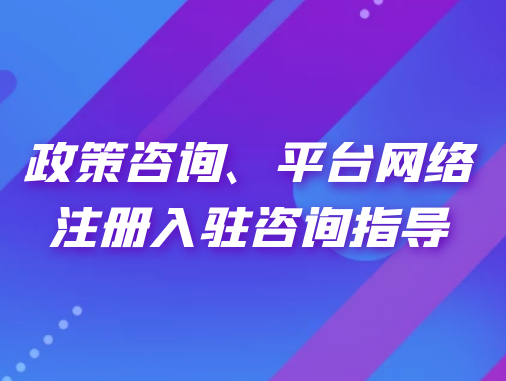 政策咨詢、平臺(tái)網(wǎng)絡(luò)注冊入駐咨詢指導(dǎo)
